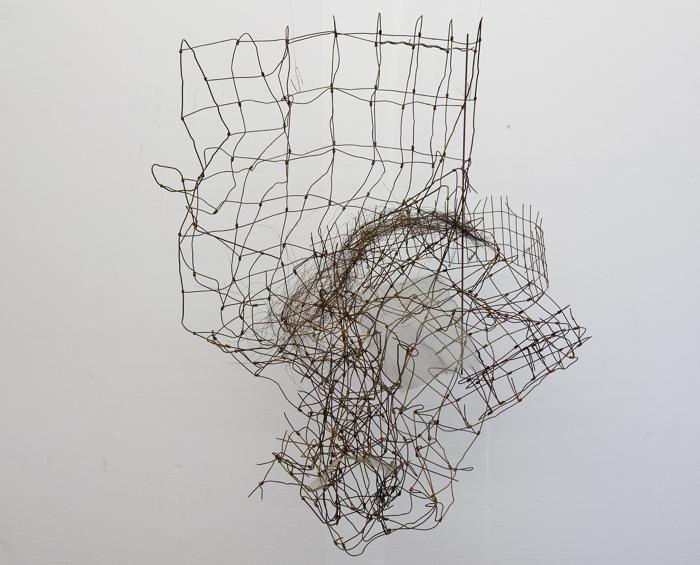 Hugh Williams, Alabama Wire Drawings