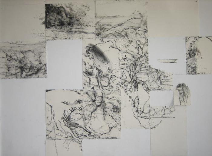 Elaine Smollin, Drawings from Palisades
