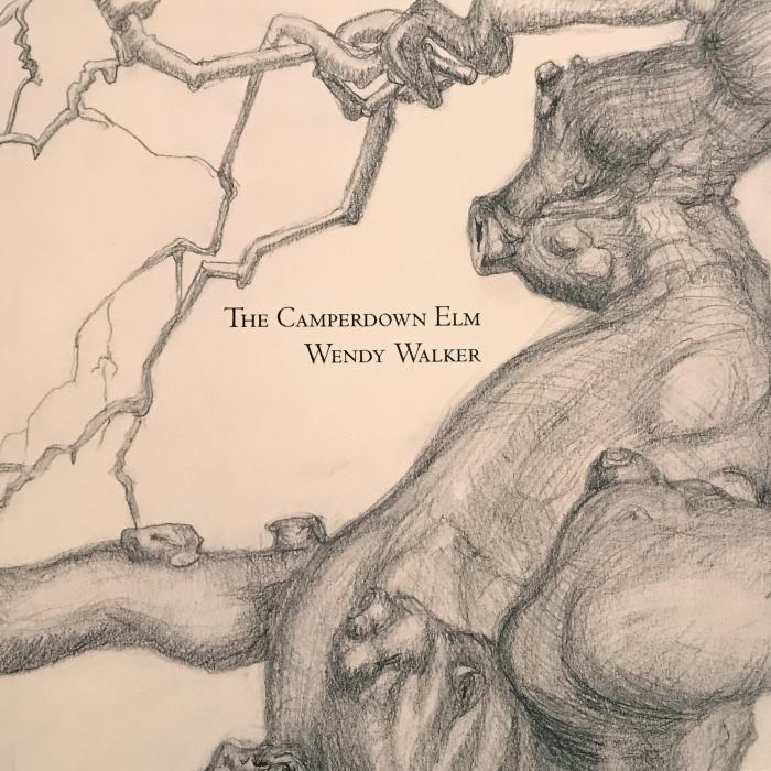 Book Launch: Wendy Walker, The Camperdown Elm