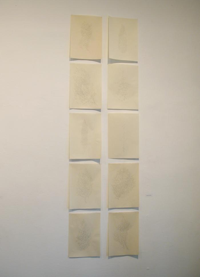 Graphite Drawings: Selections from the Kentler Flatfiles