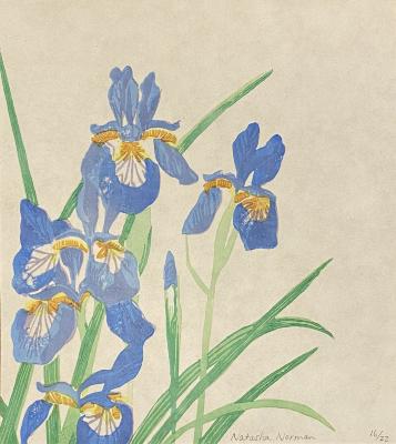 Irises, after Hokusai