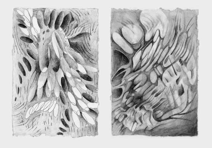 Opening June 14: NEW DRAWINGS Juried Exhibition