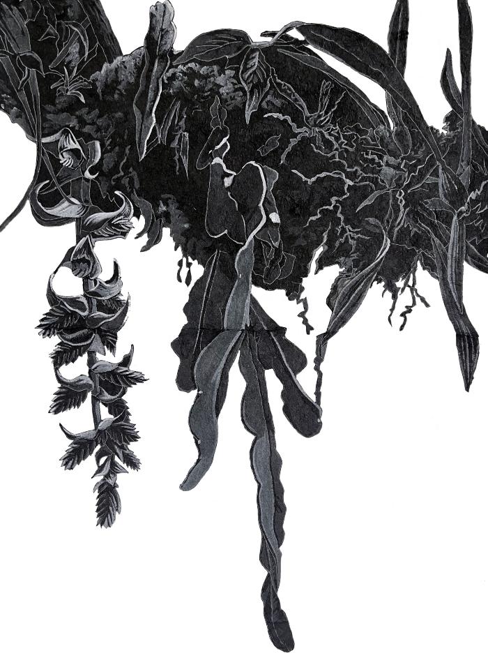 Opening April 5: Dulce Chacón, At the Forest Edge