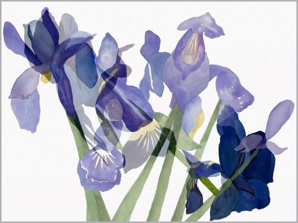 Opening Sept. 20: 100 Works on Paper BENEFIT Exhibition, 2025